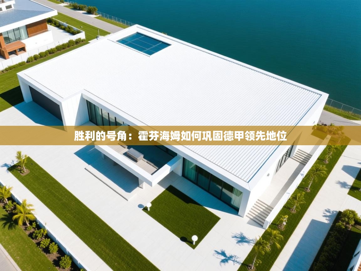 胜利的号角：霍芬海姆如何巩固德甲领先地位  第2张