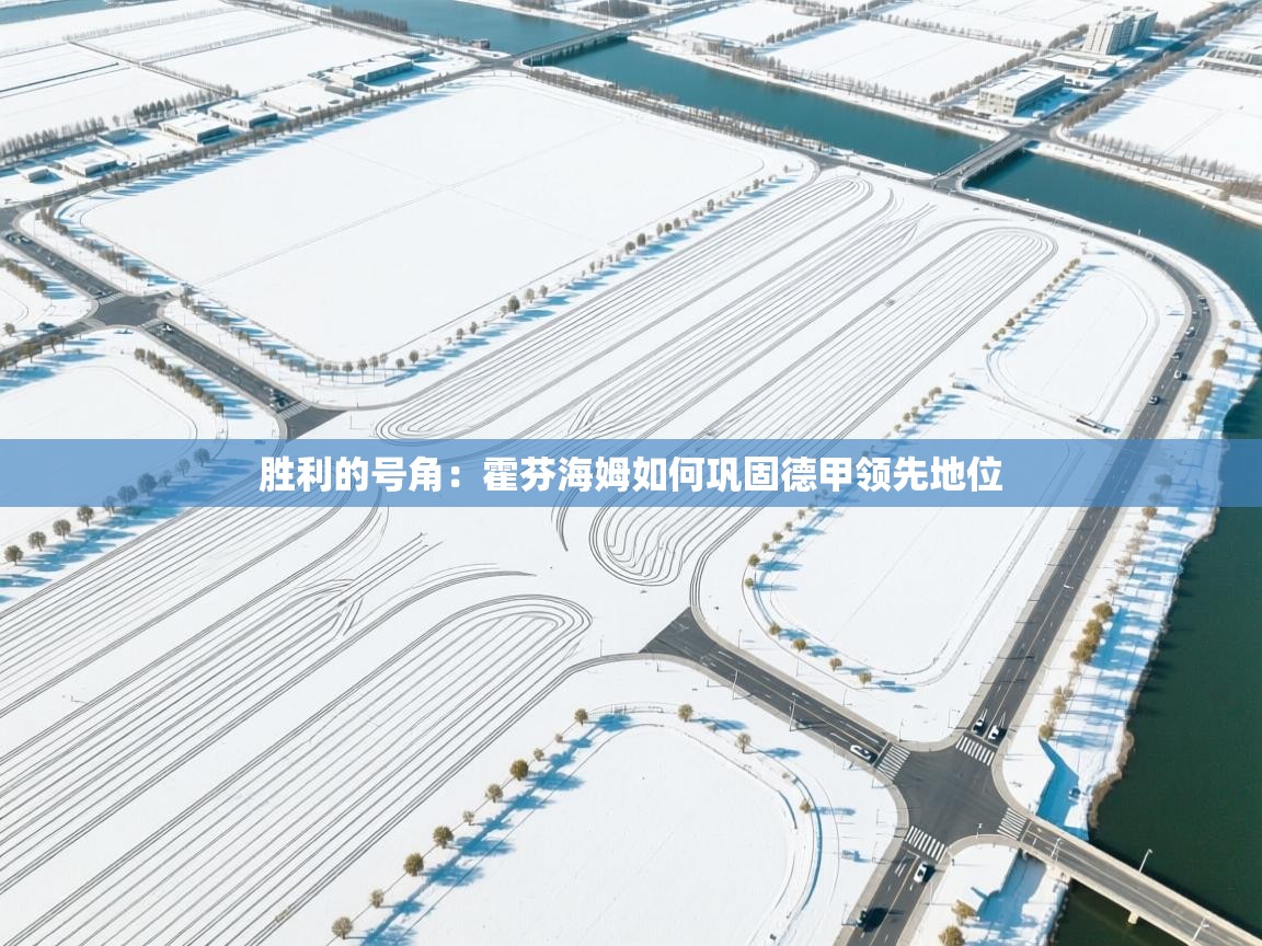 胜利的号角：霍芬海姆如何巩固德甲领先地位  第1张