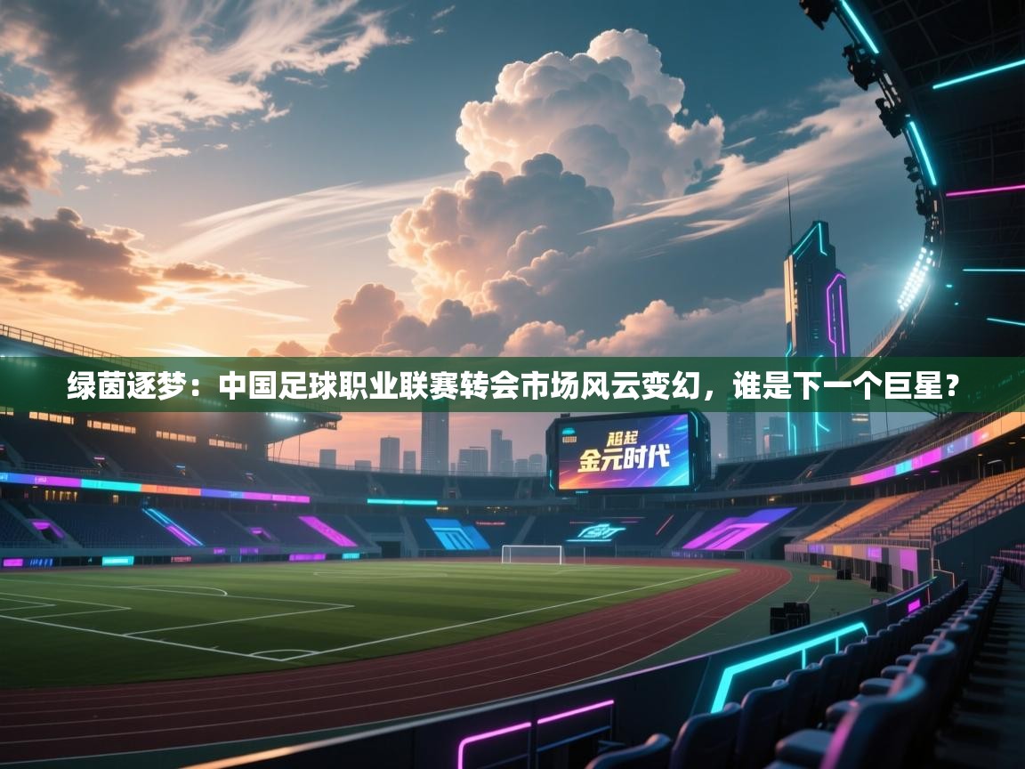 绿茵逐梦：中国足球职业联赛转会市场风云变幻，谁是下一个巨星？  第1张