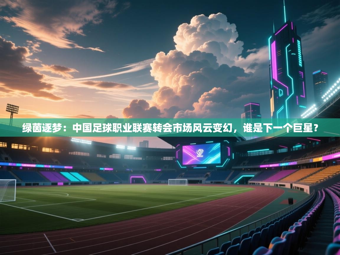 绿茵逐梦：中国足球职业联赛转会市场风云变幻，谁是下一个巨星？  第2张