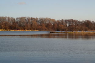 开云体育登录-“东安湖体育公园迎来跑酷明星,挑战全新极限” 第2张