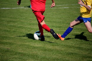 开云官网-世界围棋赛多国选手展现东亚围棋影响力，东南亚围棋  第3张